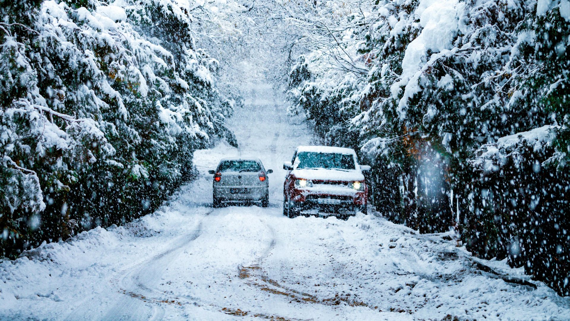 Two cars navigating a heavily snow-covered path in a pine forest during winter in Konya, Turkey.