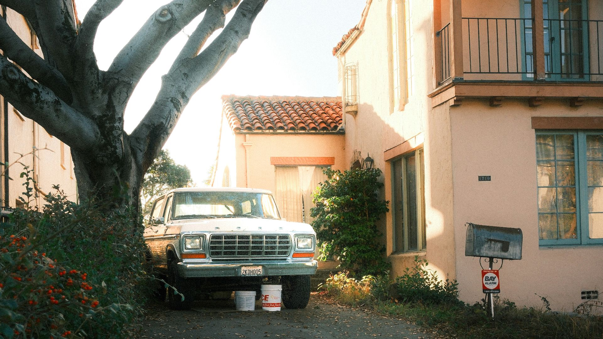 Old truck parked under a large tree near house
