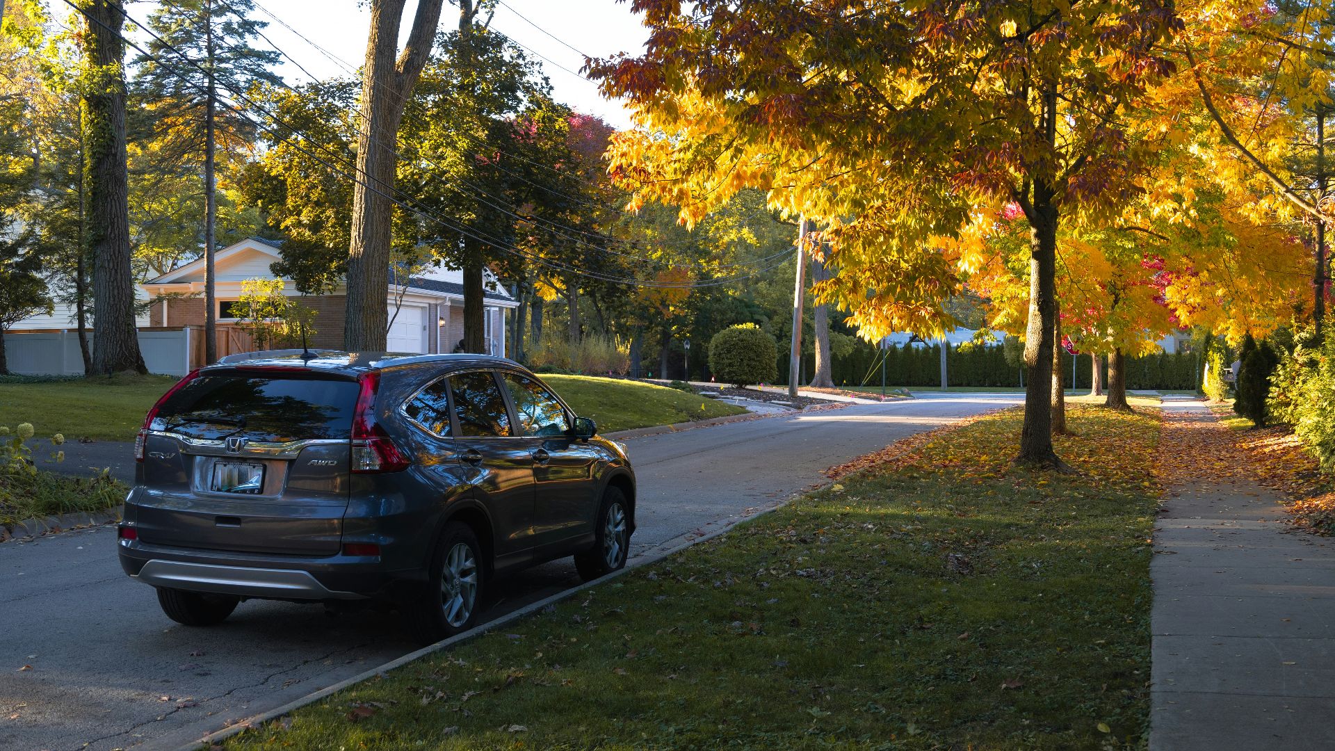 A dark suv parked on a tree-lined street in autumn.