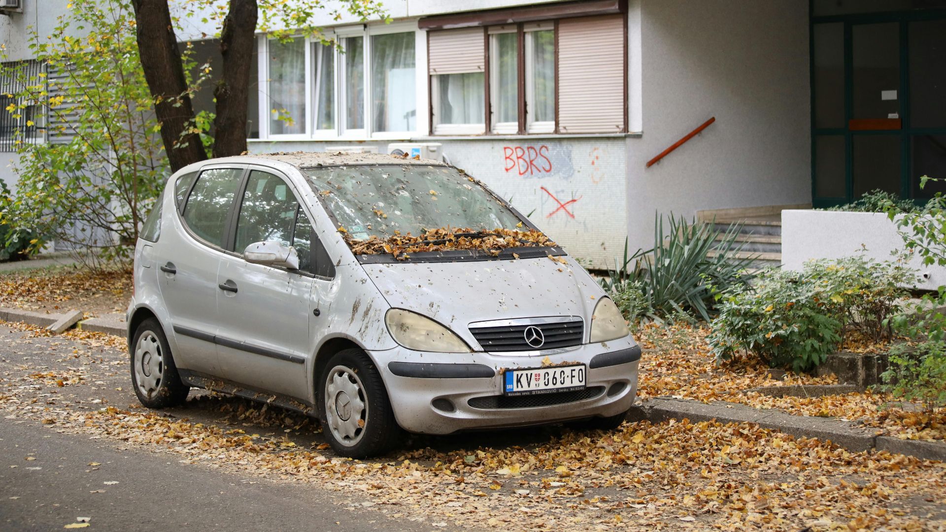 A parked vehicle covered with autumn leaves on a quiet residential street.