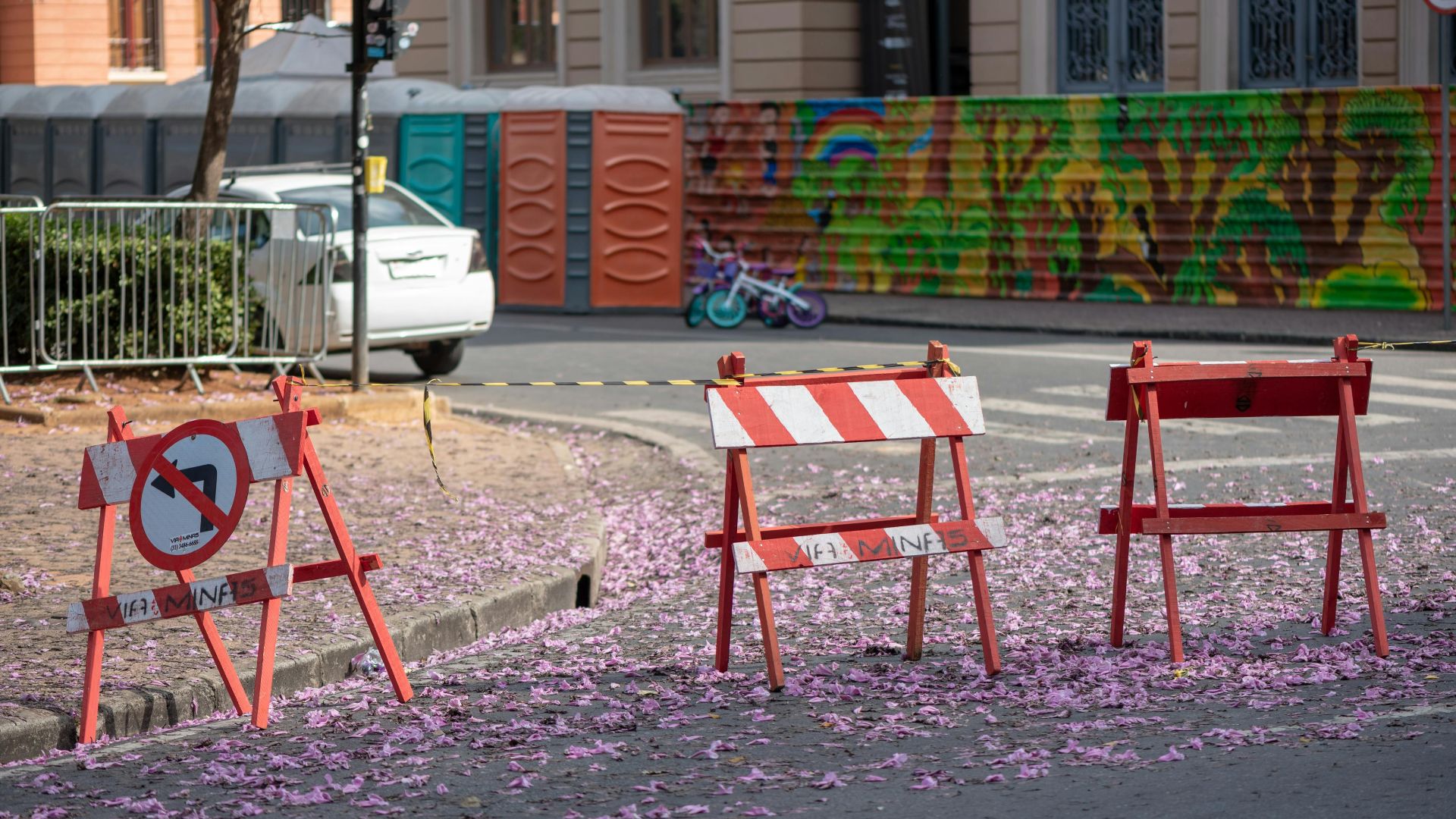 Street scene with traffic barriers and pink flowers in Belo Horizonte.