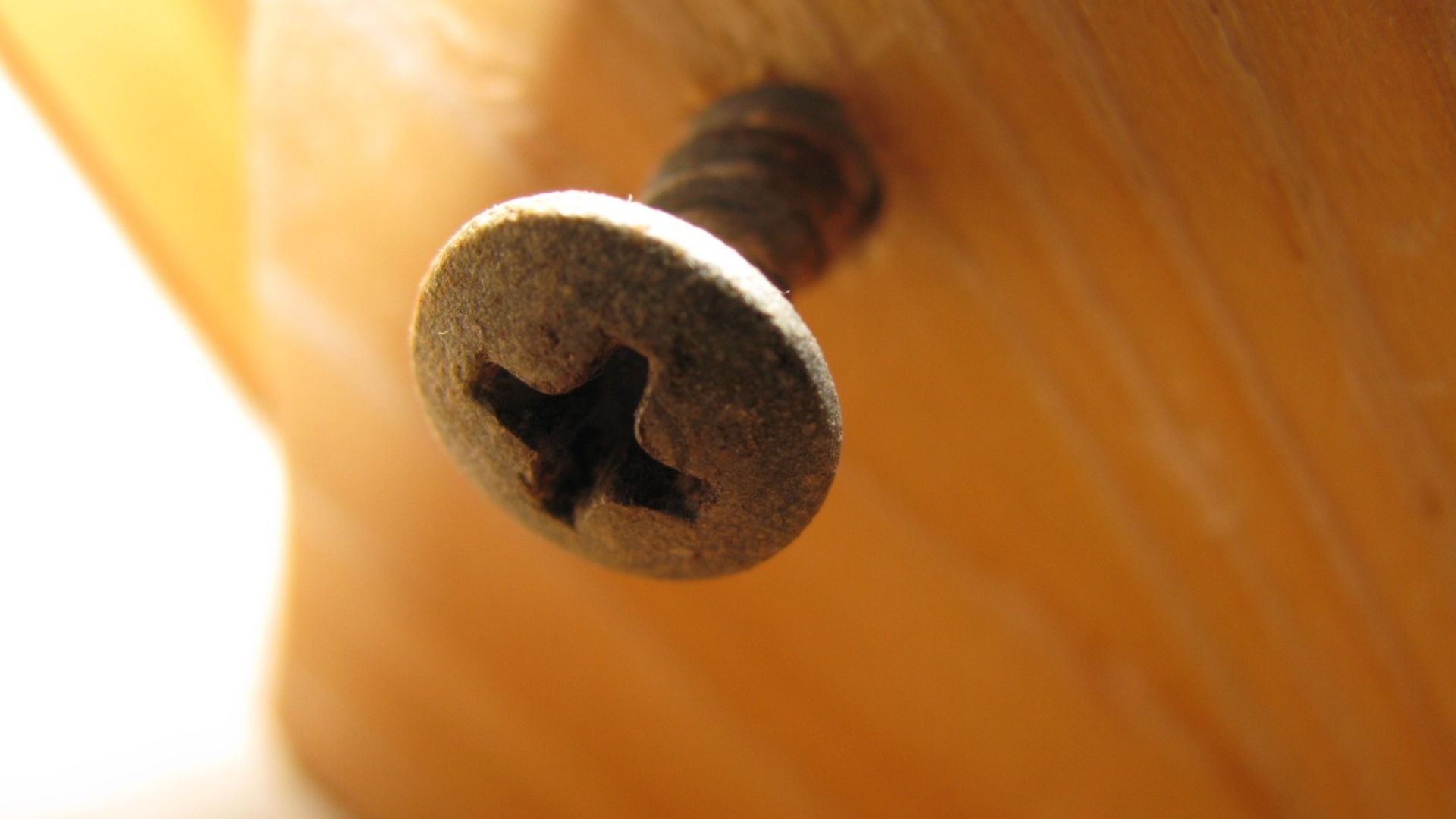 A screw in wood