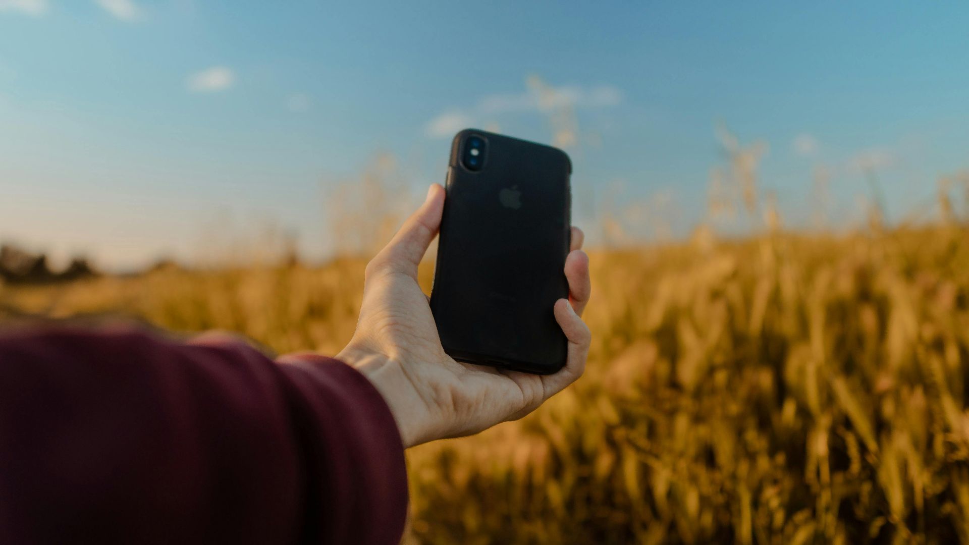 A person's hand holding a smartphone in a scenic wheat field in Morocco.