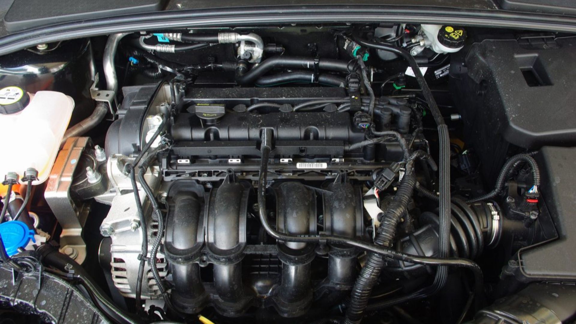 Ford Duratec 1.6 TI-VCT engine (Zetec-SE / Sigma type) in a 2012 Ford Focus