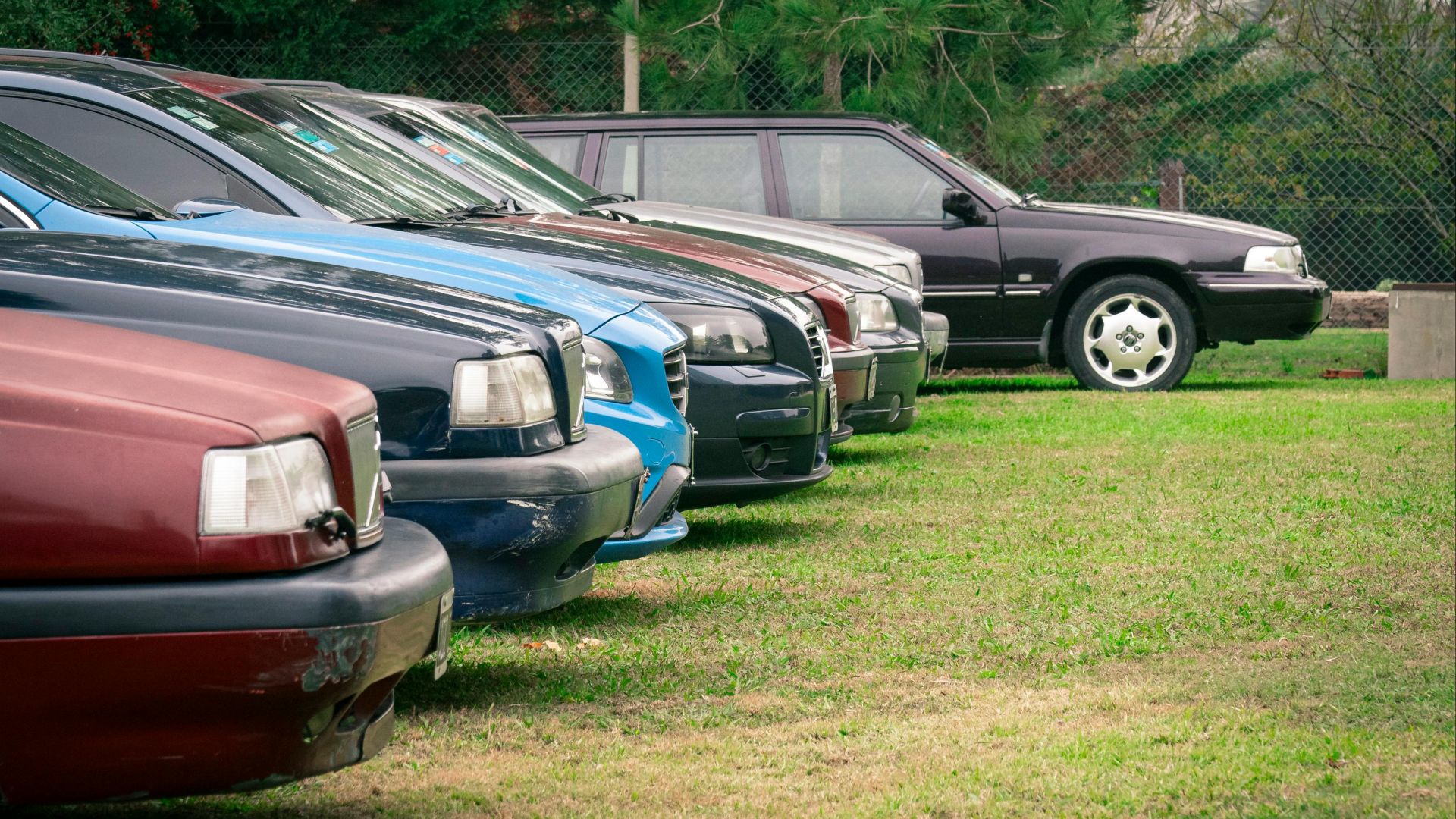 Several cars parked in a grassy field, showcasing a rural setting and diverse vehicle selection.