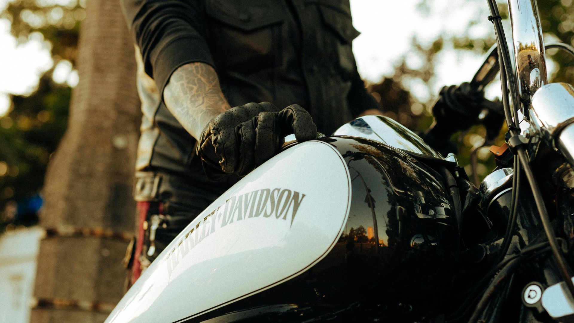 Stylish biker with a tattooed arm and a beard on a Harley Davidson motorbike, outdoors.