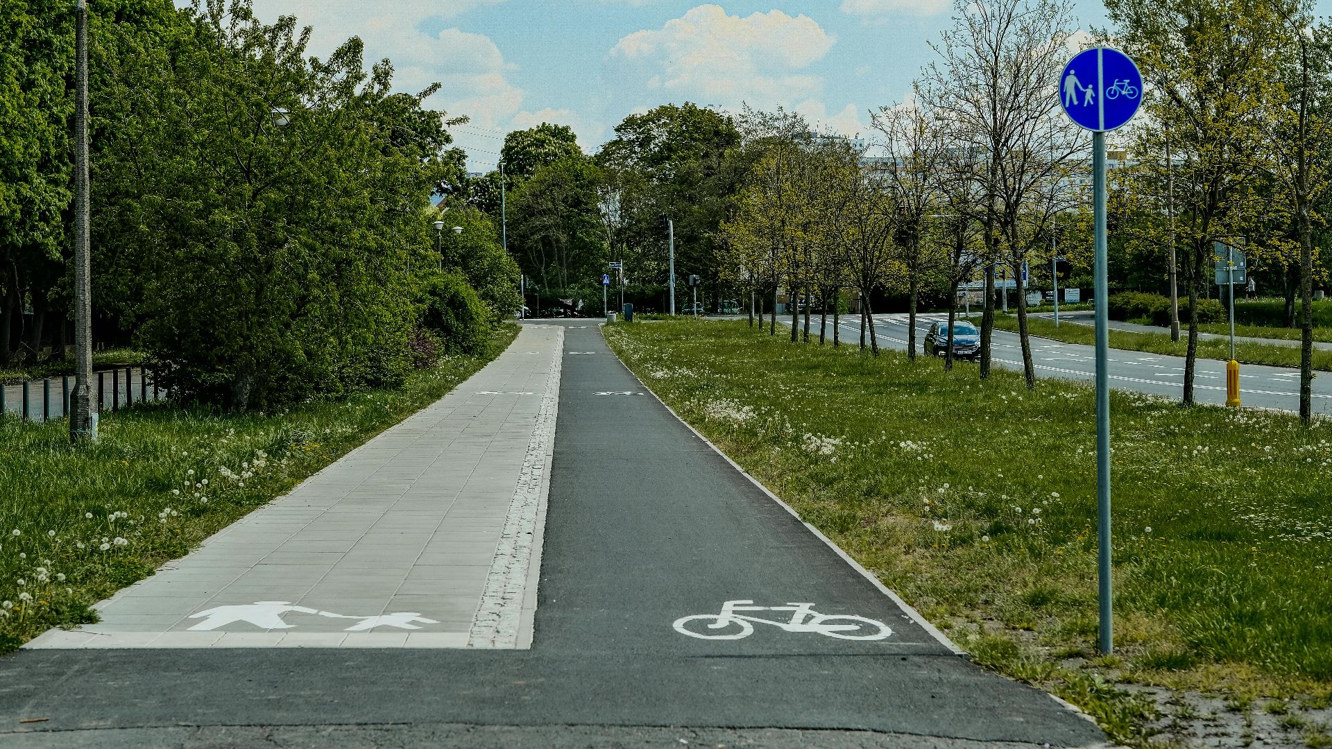 Explore a serene bicycle lane surrounded by lush greenery on a sunny day.