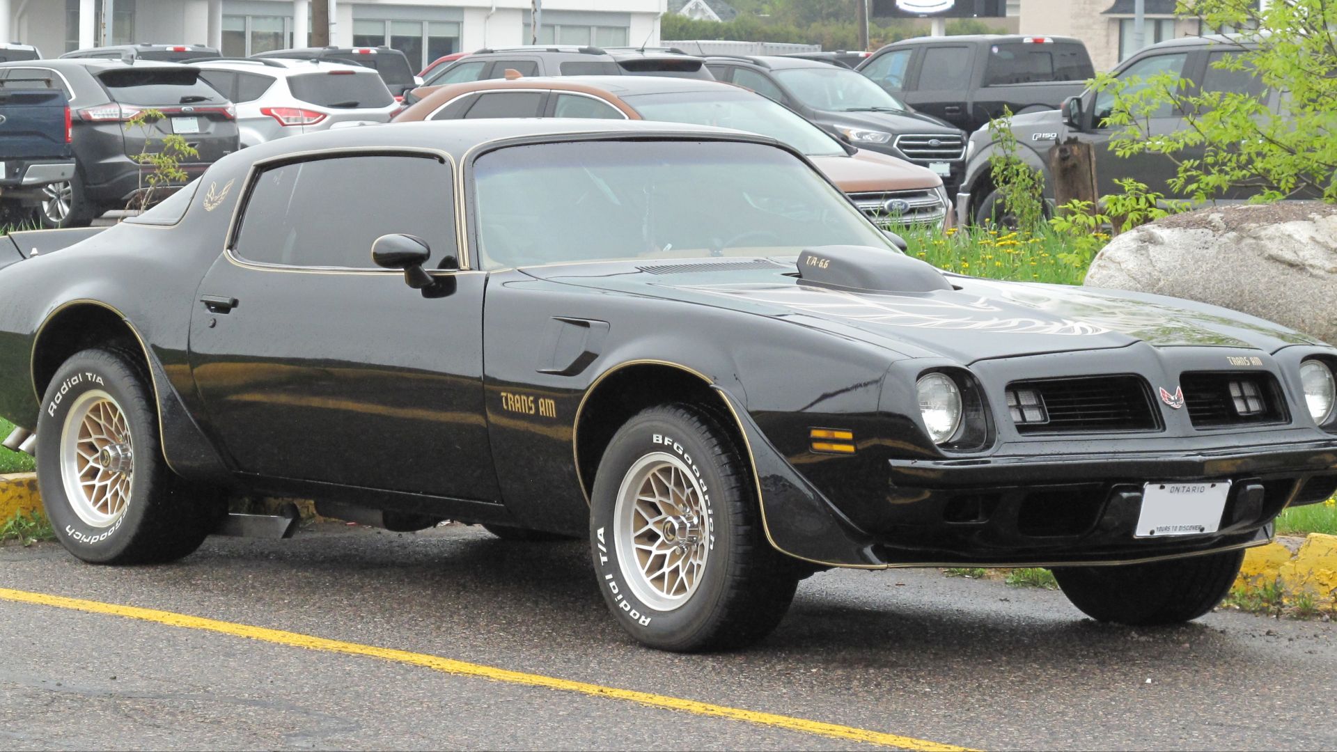 1975 Pontiac Firebird Trans Am photographed in Sault Ste. Marie, Ontario, Canada.
