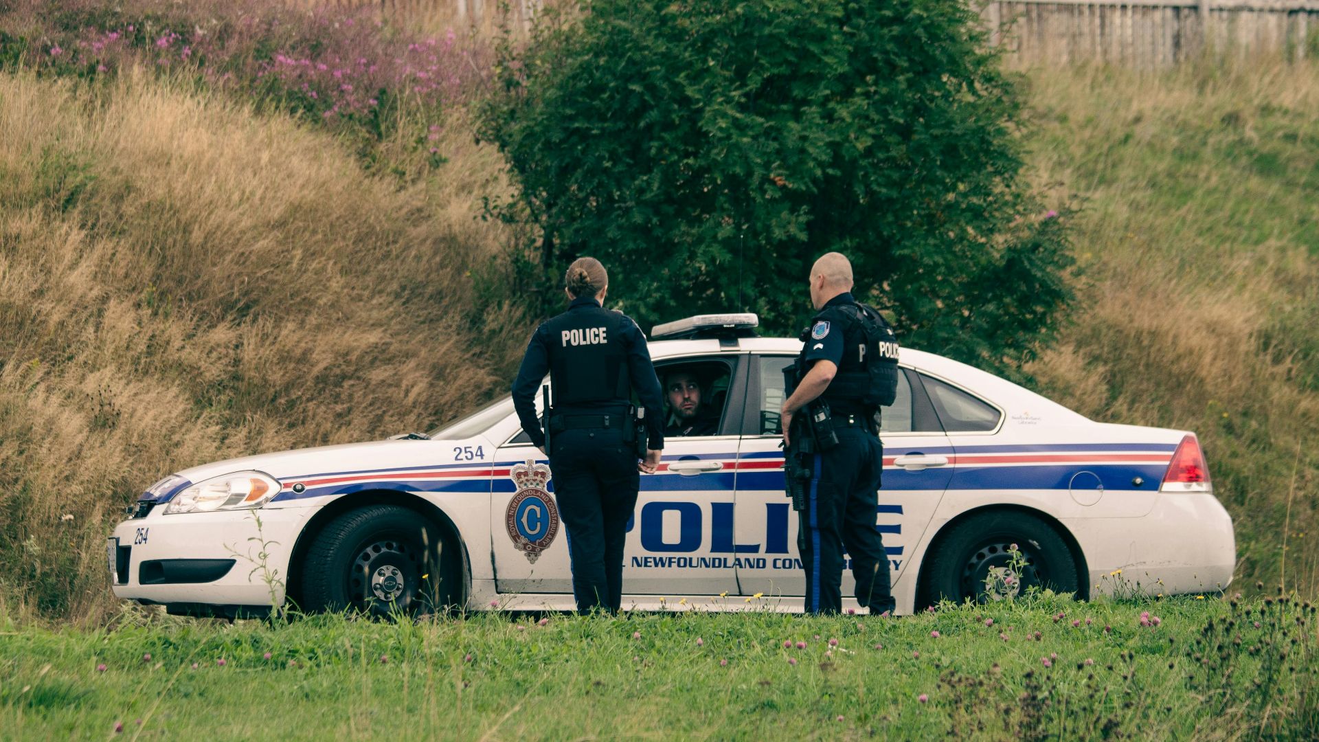 Anonymous policemen in uniforms talking to female coworker on lawn with modern auto in daytime