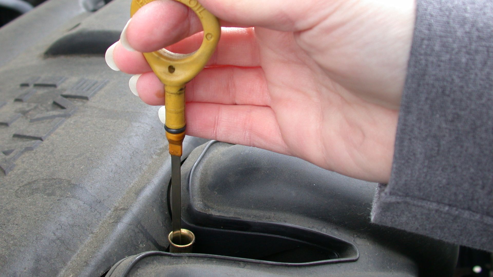 Dipstick for measuring the level of motor oil in an automobile.