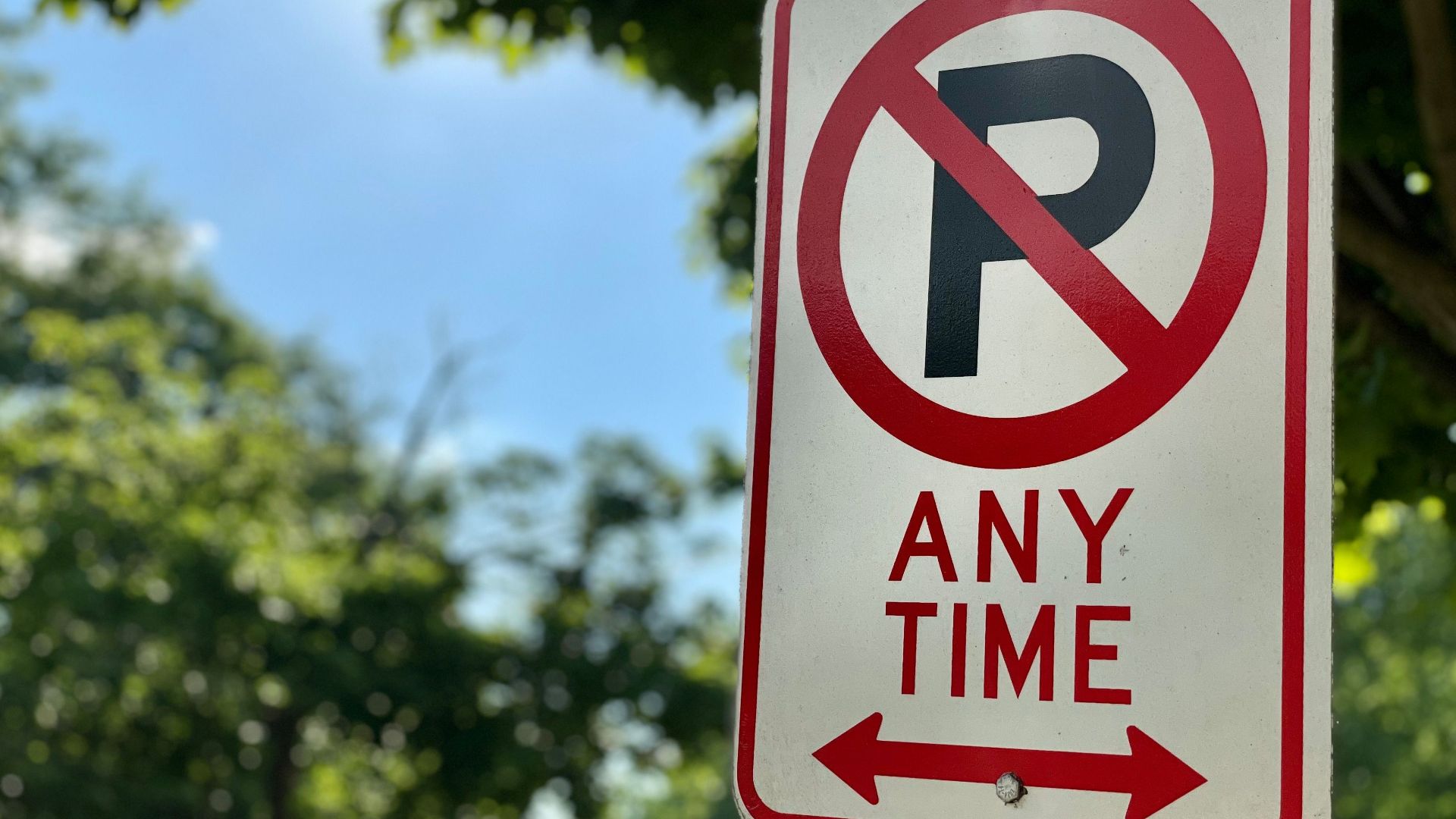 Close-up of a no parking sign with vibrant green trees in the background.