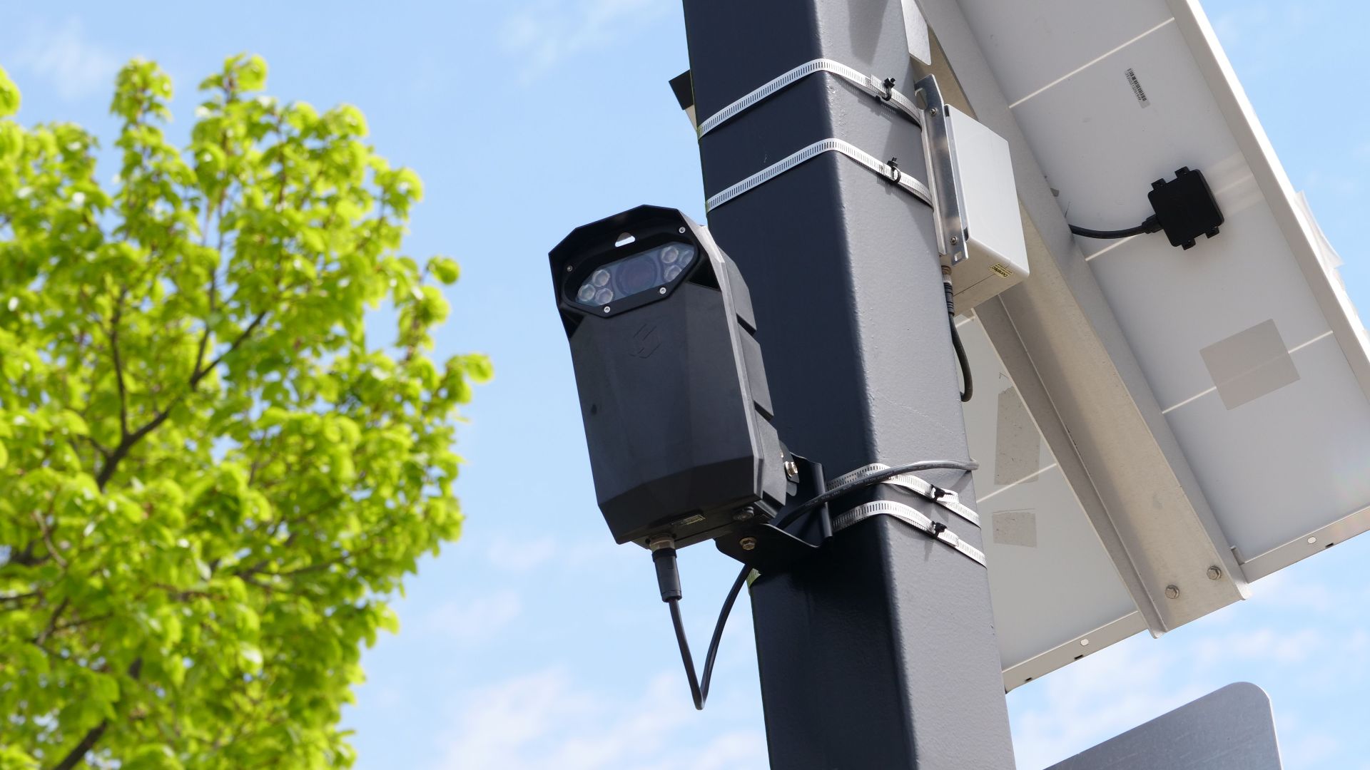 Urban surveillance camera mounted on pole with solar panel and green tree in view.