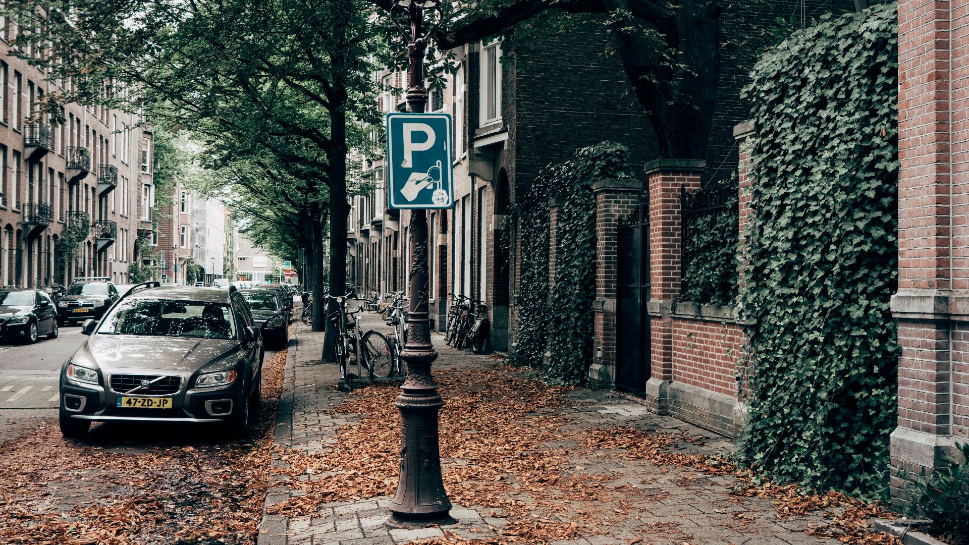 Picturesque city street in autumn with cars and bicycles lined along leafy sidewalks.