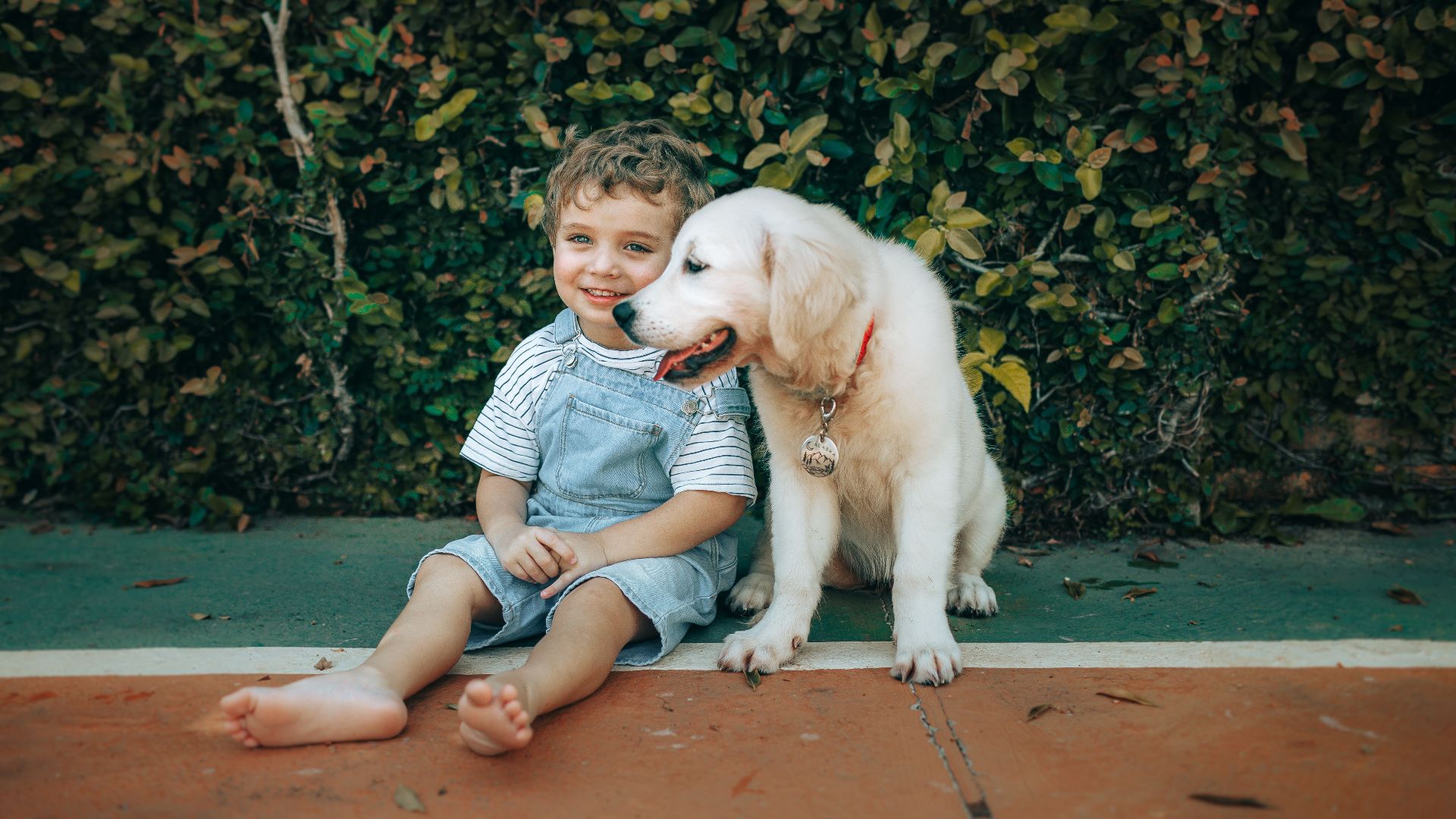 Cute child and Golden Retriever puppy sitting together outdoors, showcasing friendship and joy.
