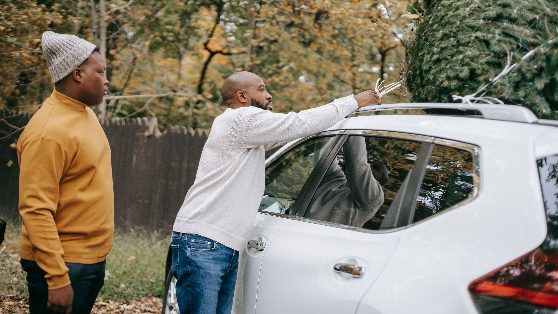 Side view of black father tying spruce on auto roof near teenager in countryside before New Year holiday