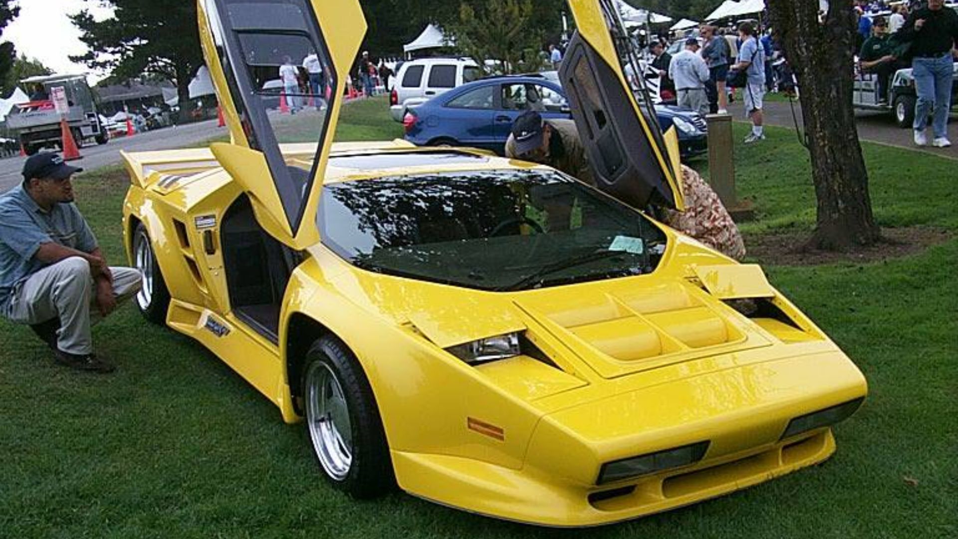Vector W8