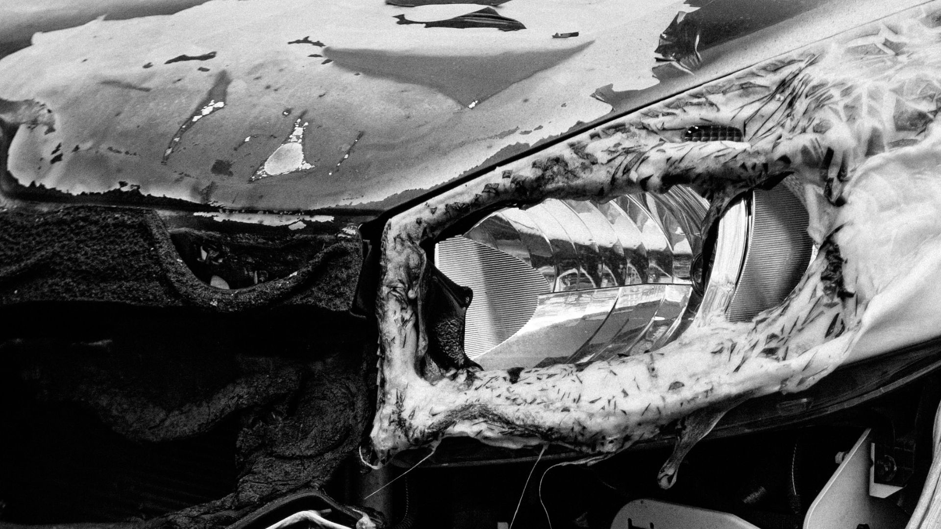 a car with its front hood open