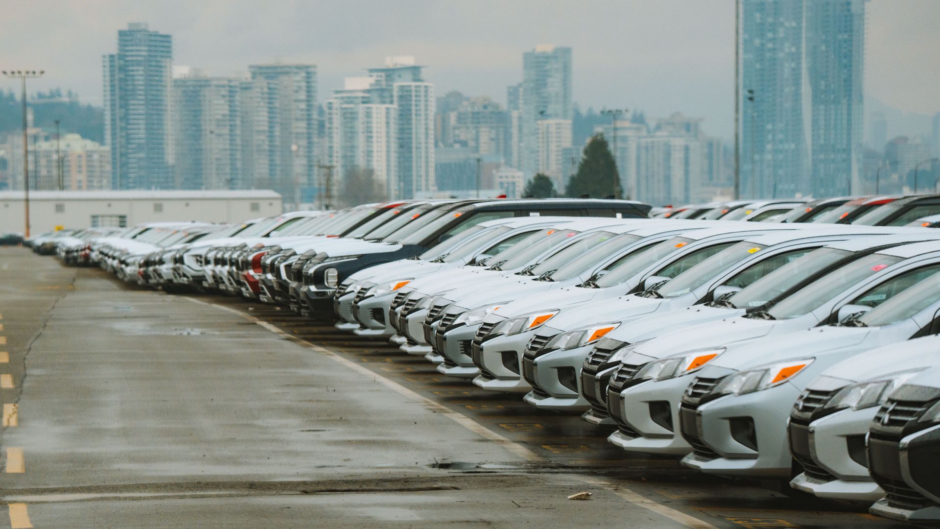 White cars lined up in a parking lot with a city skyline backdrop.