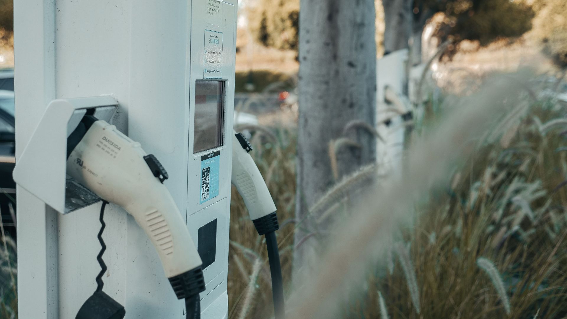 Electric vehicle charging station in an outdoor natural setting, highlighting sustainable technology.