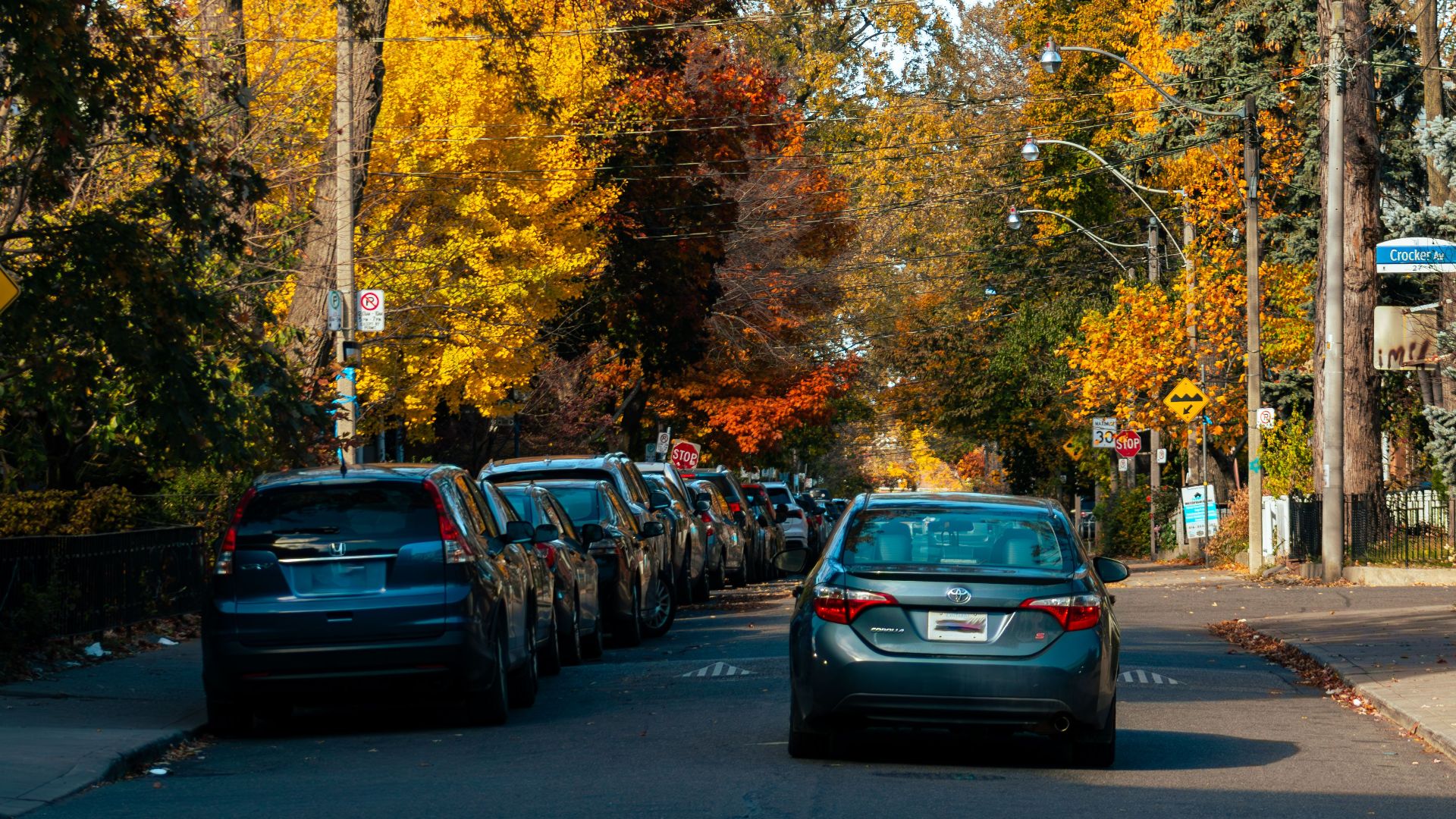 Vibrant fall colors line a street in Toronto, showcasing autumn's beauty.