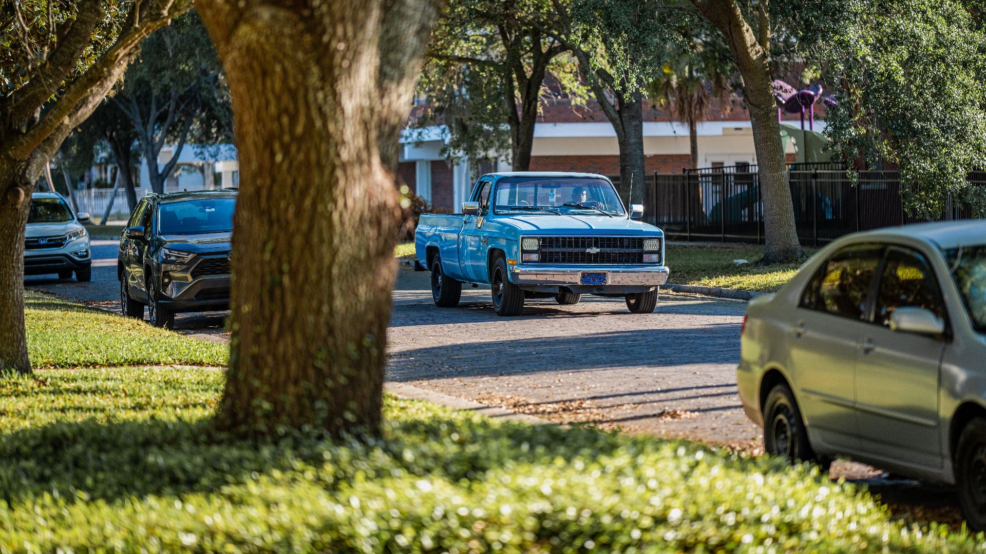 A classic blue pickup truck drives down a sunny, tree-lined suburban street.