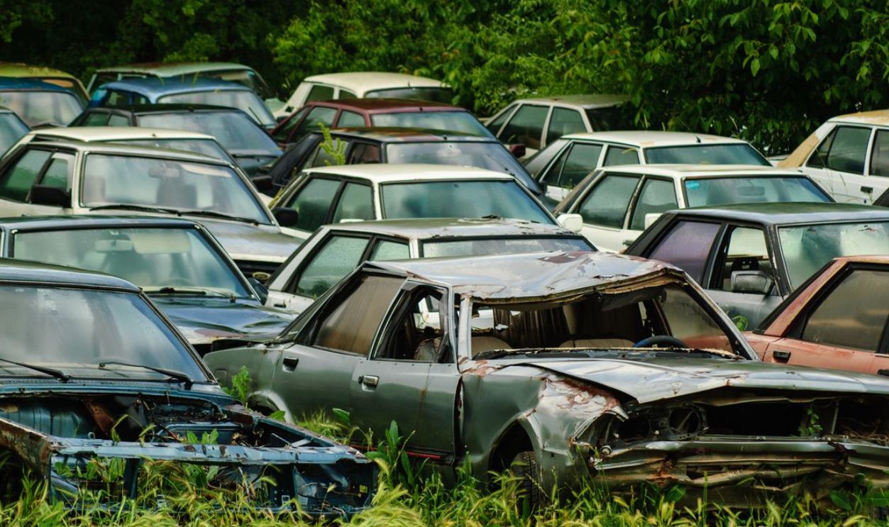 A collection of vintage cars, damaged and abandoned in a lush green junkyard.
