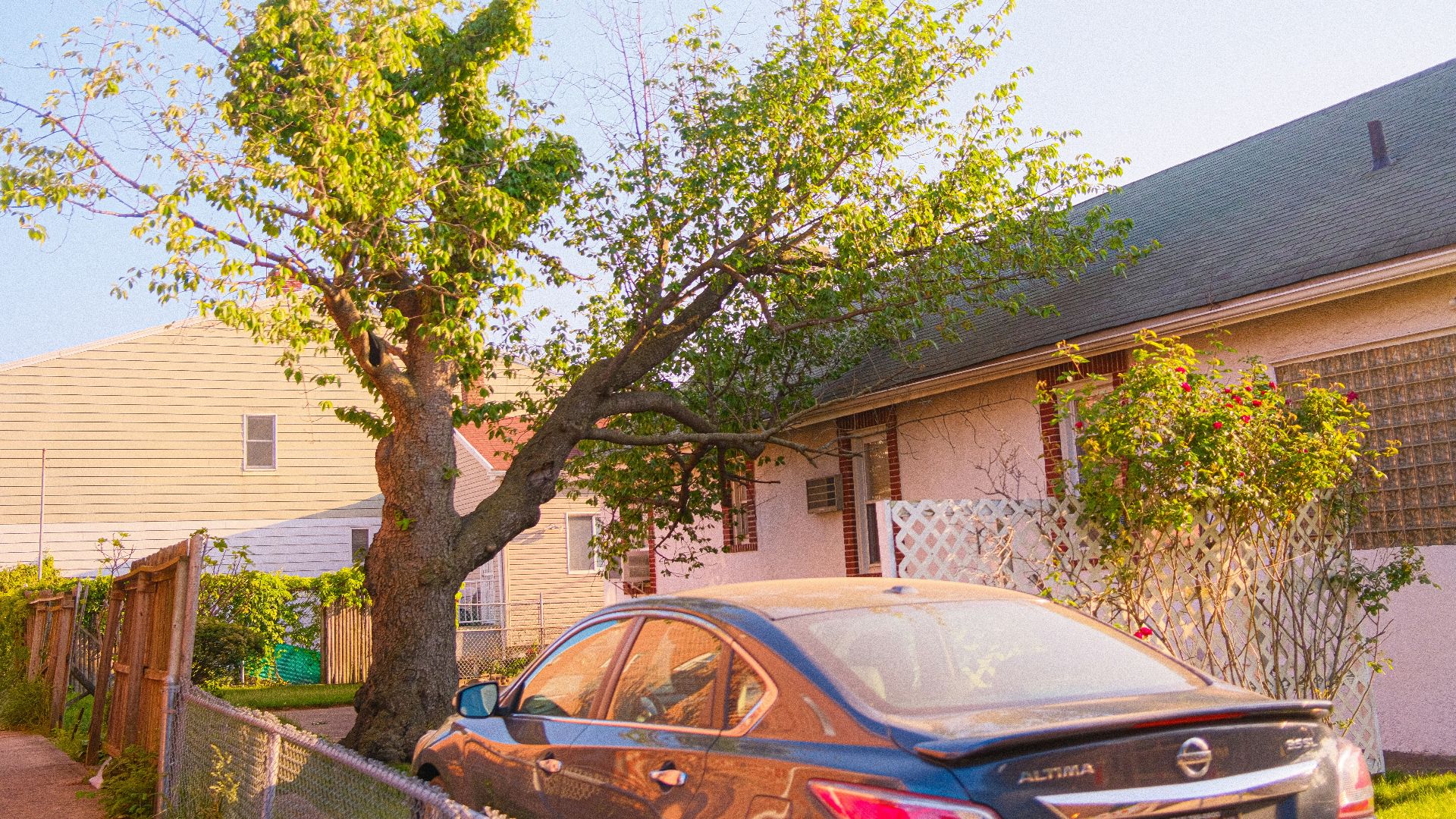 a car parked in front of a house next to a tree