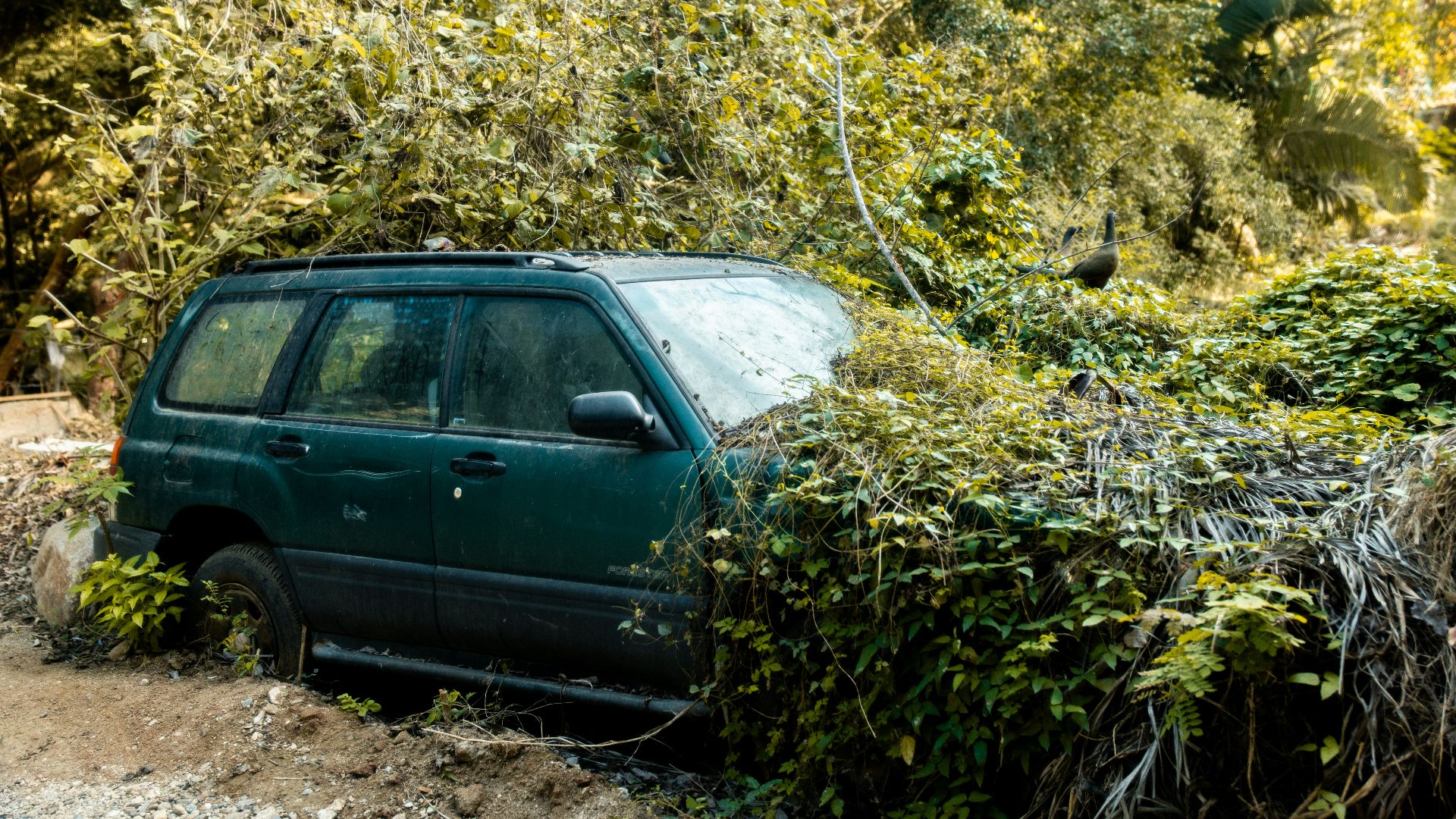 A car is parked on a dirt road