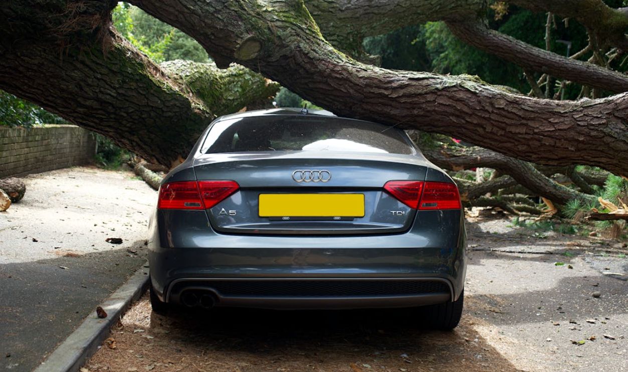 An Audi A5 severely damaged by a fallen tree on a street in the UK.