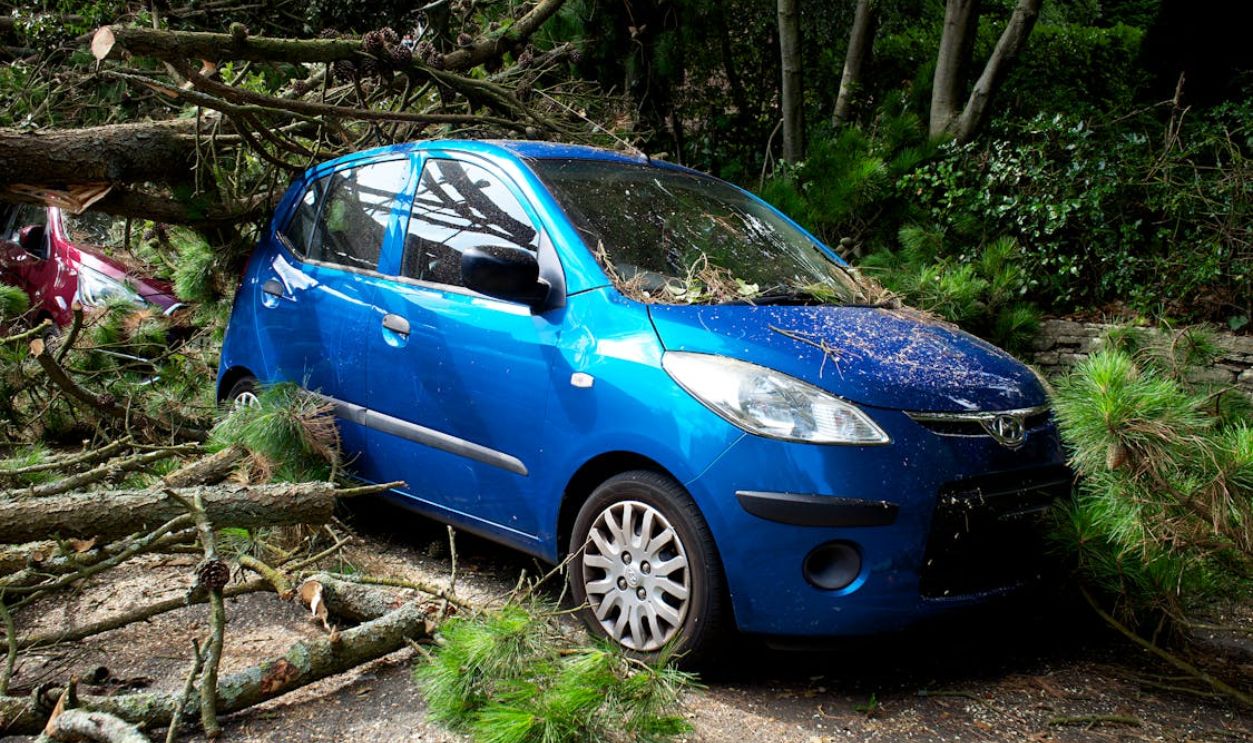 A blue car trapped under fallen trees in a post-storm scene in the UK.