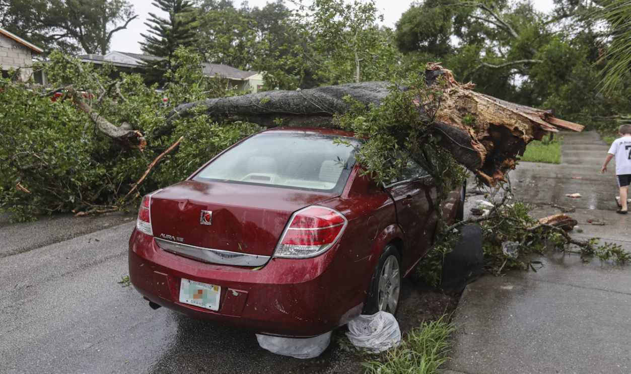 A tornado ripped through our neighborhood this afternoon