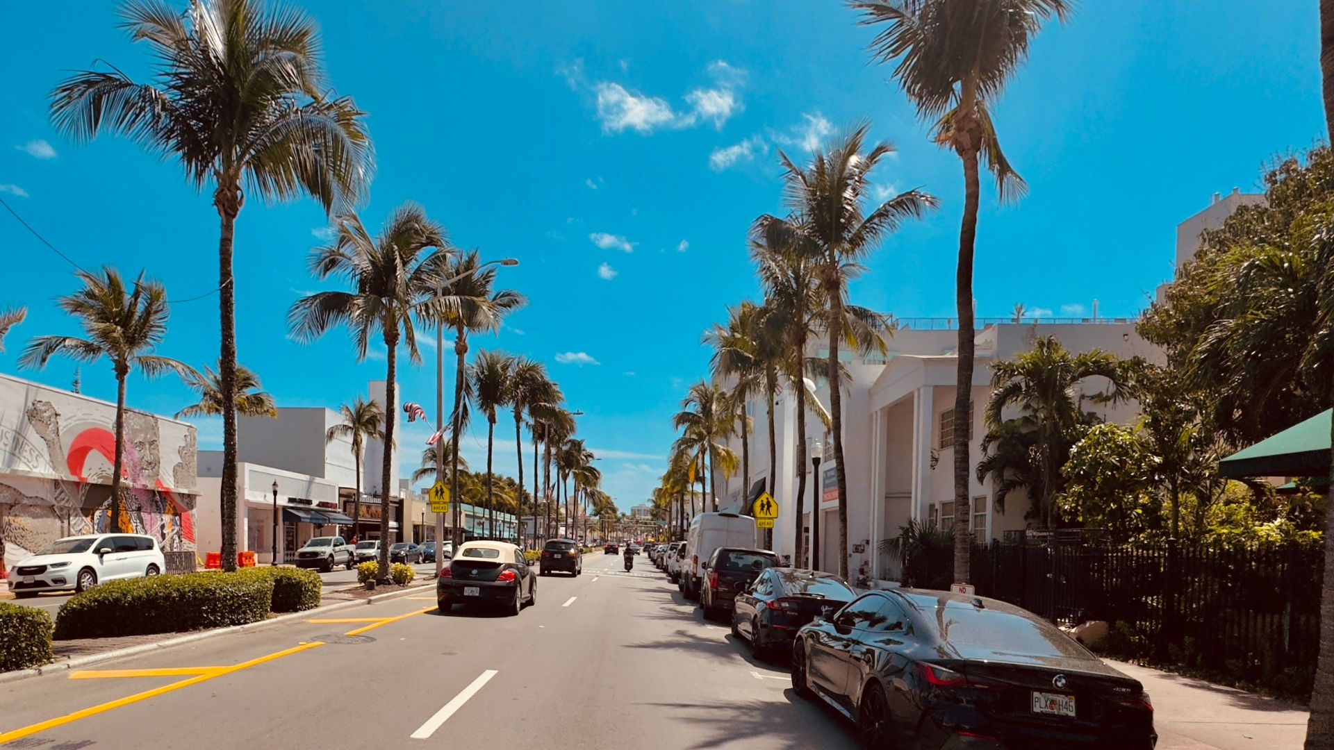 a street lined with palm trees and parked cars