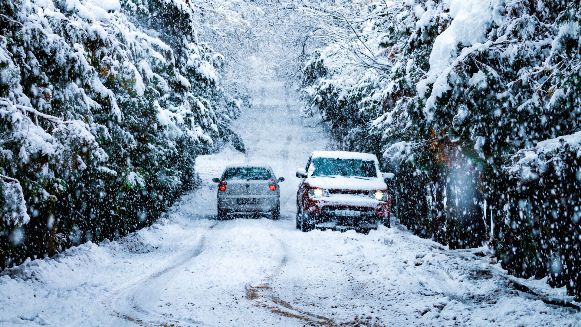Two cars navigating a heavily snow-covered path in a pine forest during winter in Konya, Turkey.