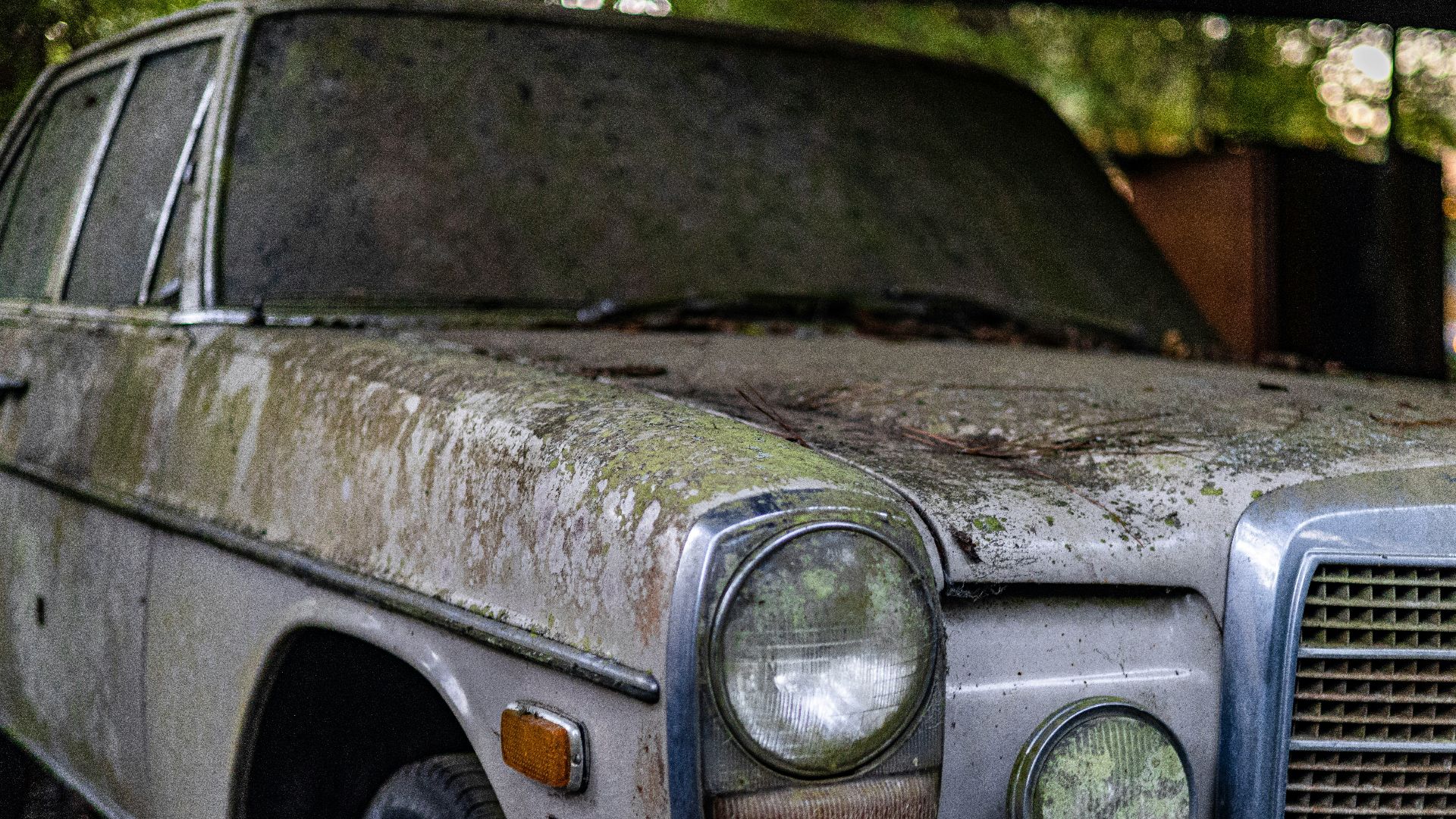 an old car is parked in the woods