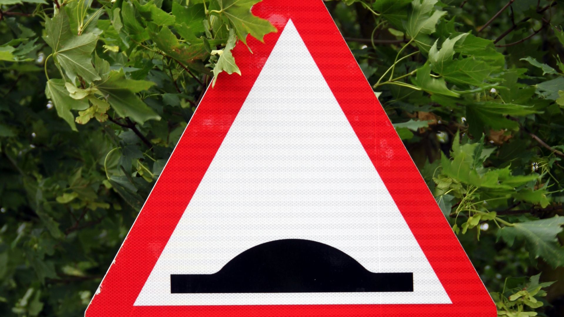 Road sign „Humps for 1 mile“ in Lilley, Hertfordshire.