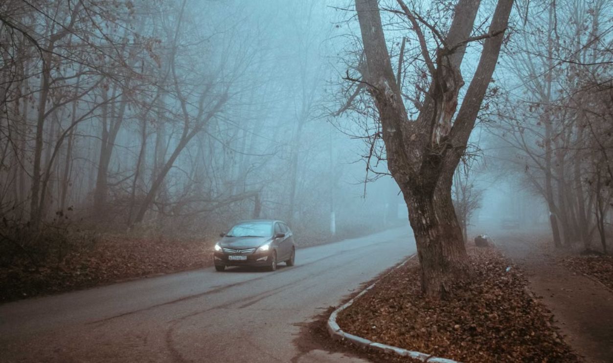 A car drives down a fog-covered road flanked by bare trees in winter, creating a moody atmosphere.