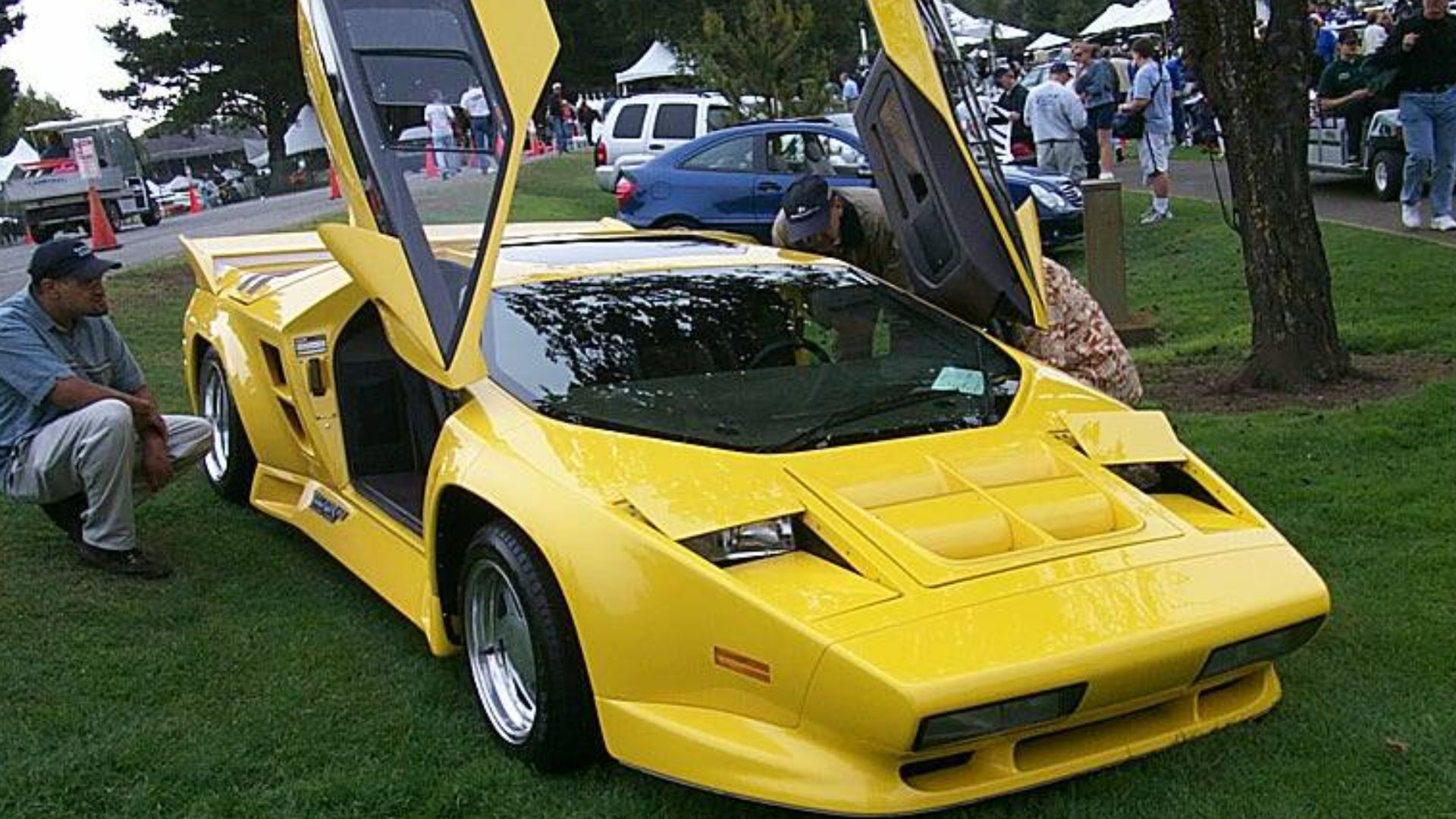 Vector W8