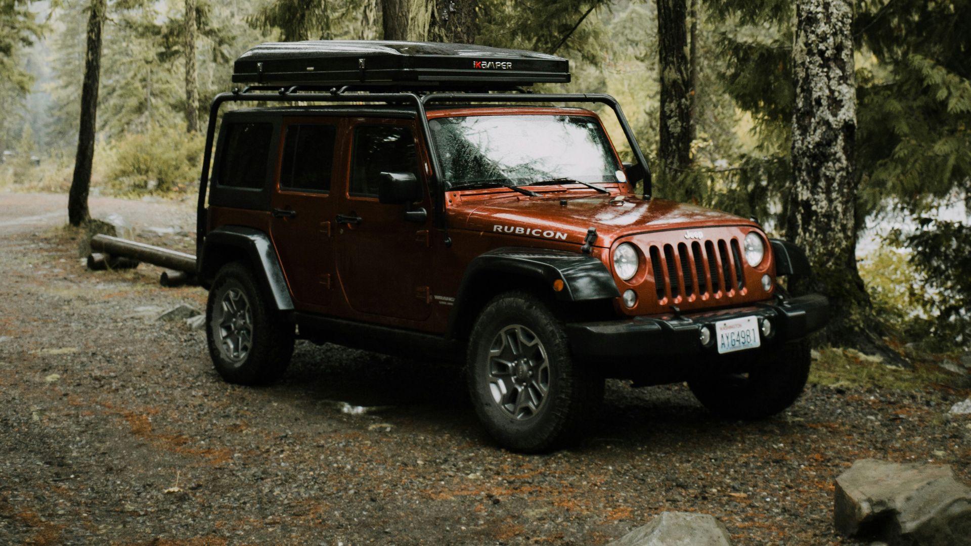 black jeep wrangler in the woods