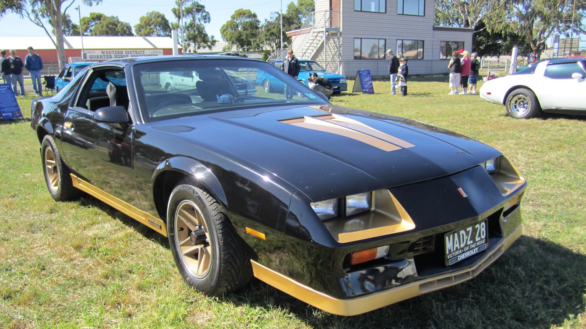 Z28 got unique nose, 3 piece rear spoiler, gold or silver accents on lower valances & on 5 spoke alloys.
Top engine; 190bhp 5.0l HO