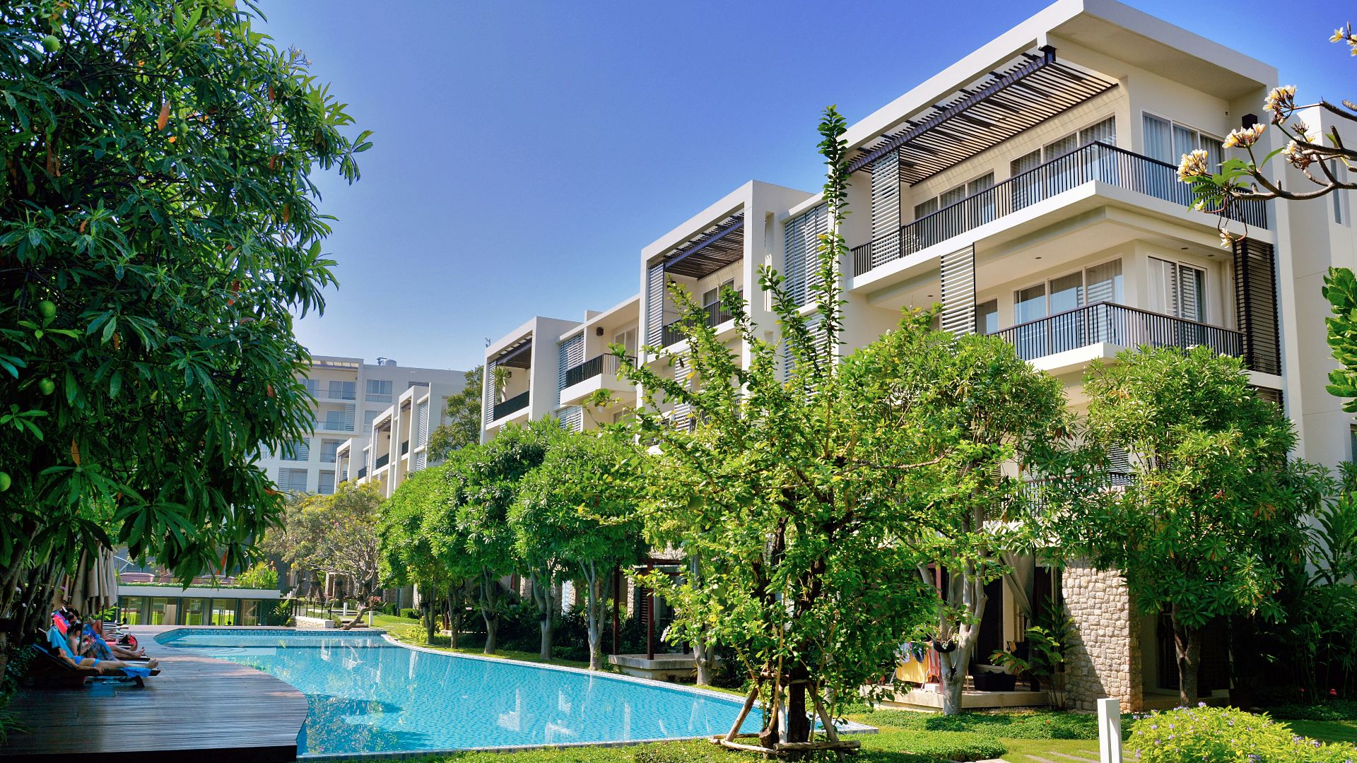 green trees near swimming pool during daytime