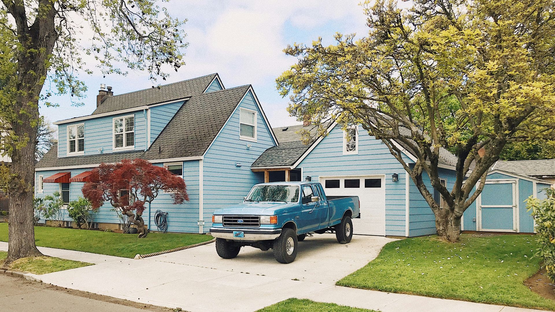 blue and white single cab pickup truck parked near green tree during daytime