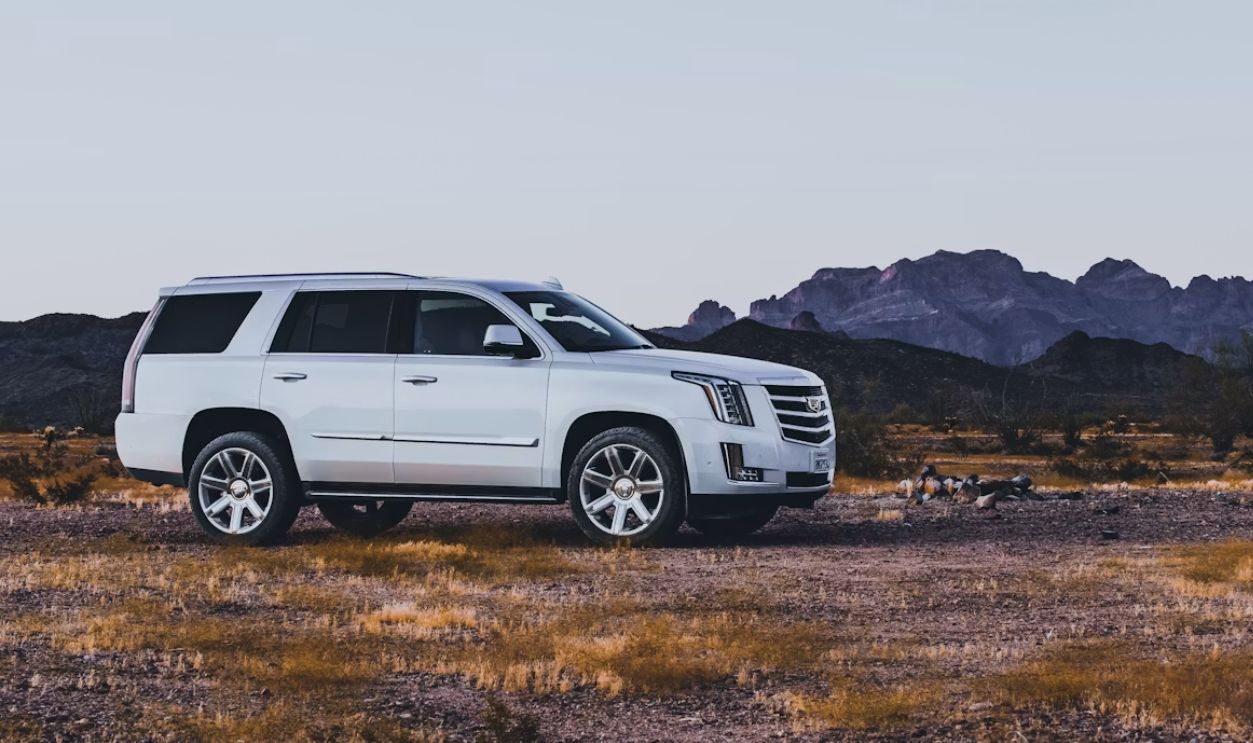 white suv on brown field during daytime