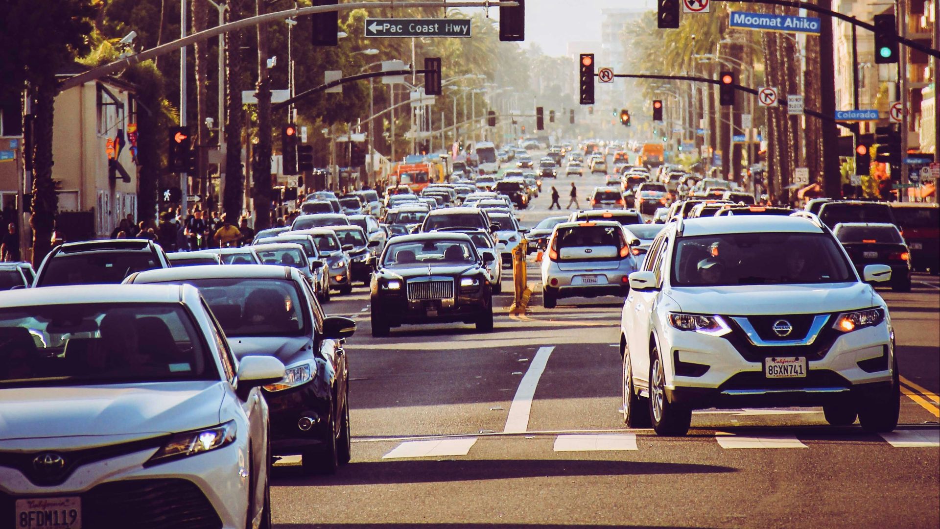 vehicles on road