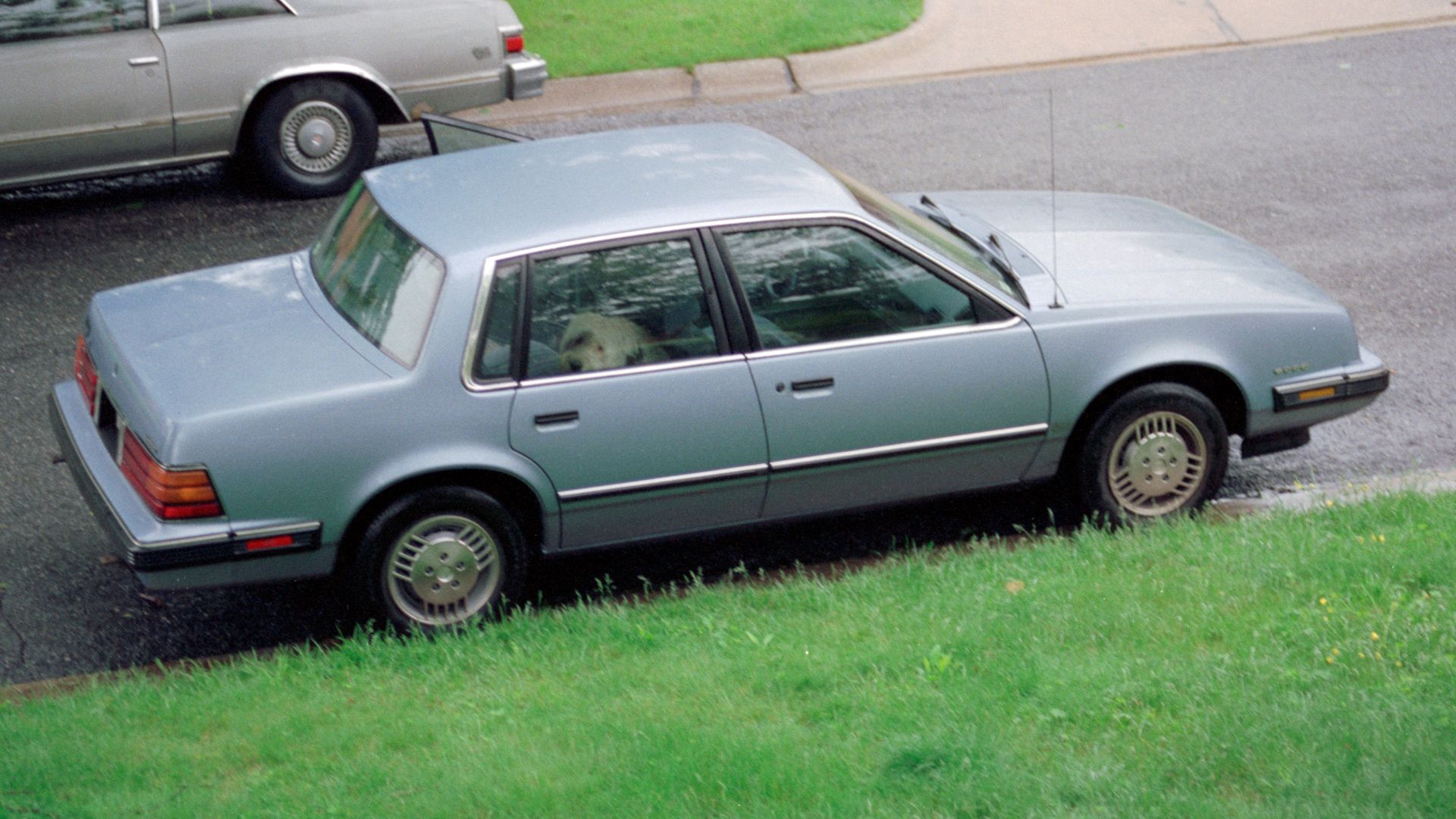 A 1987 Pontiac 6000 rental car as seen in the spring of 1989. Max the Sheepdog is in the back seat. He likes it and does not want to come out.