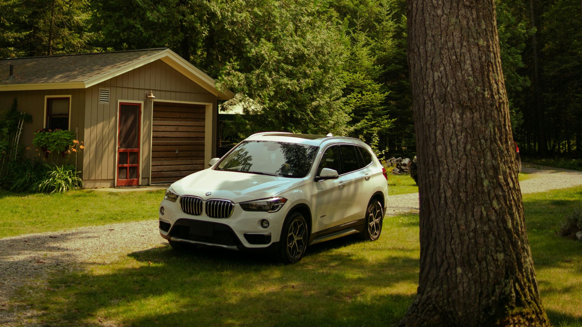 a white car parked in front of a tree