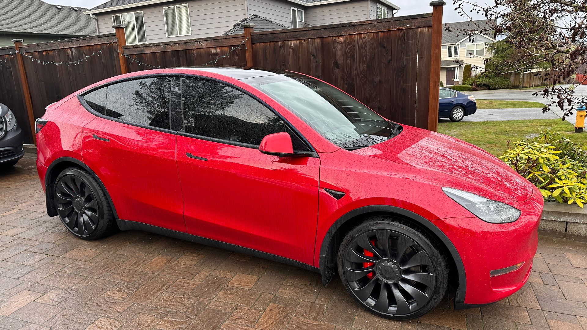 Tesla Y Ceramic window tint