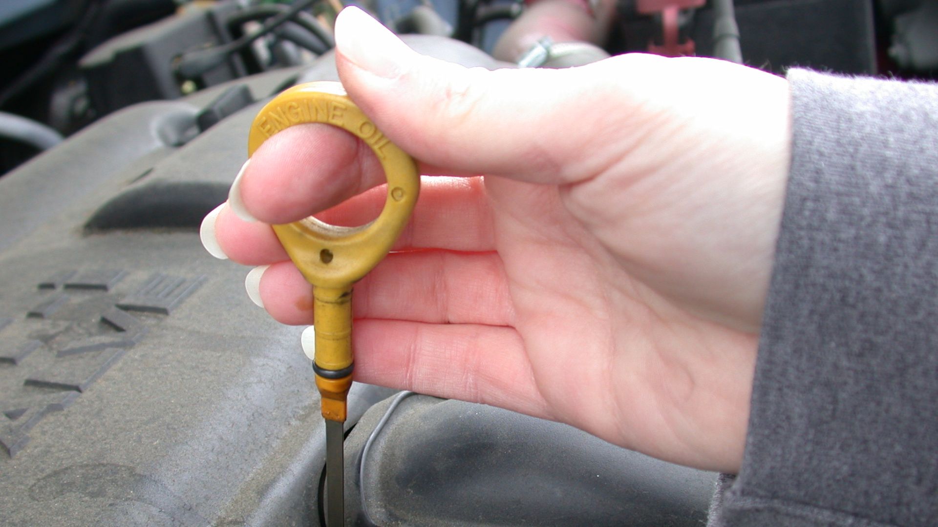 Dipstick for measuring the level of motor oil in an automobile.