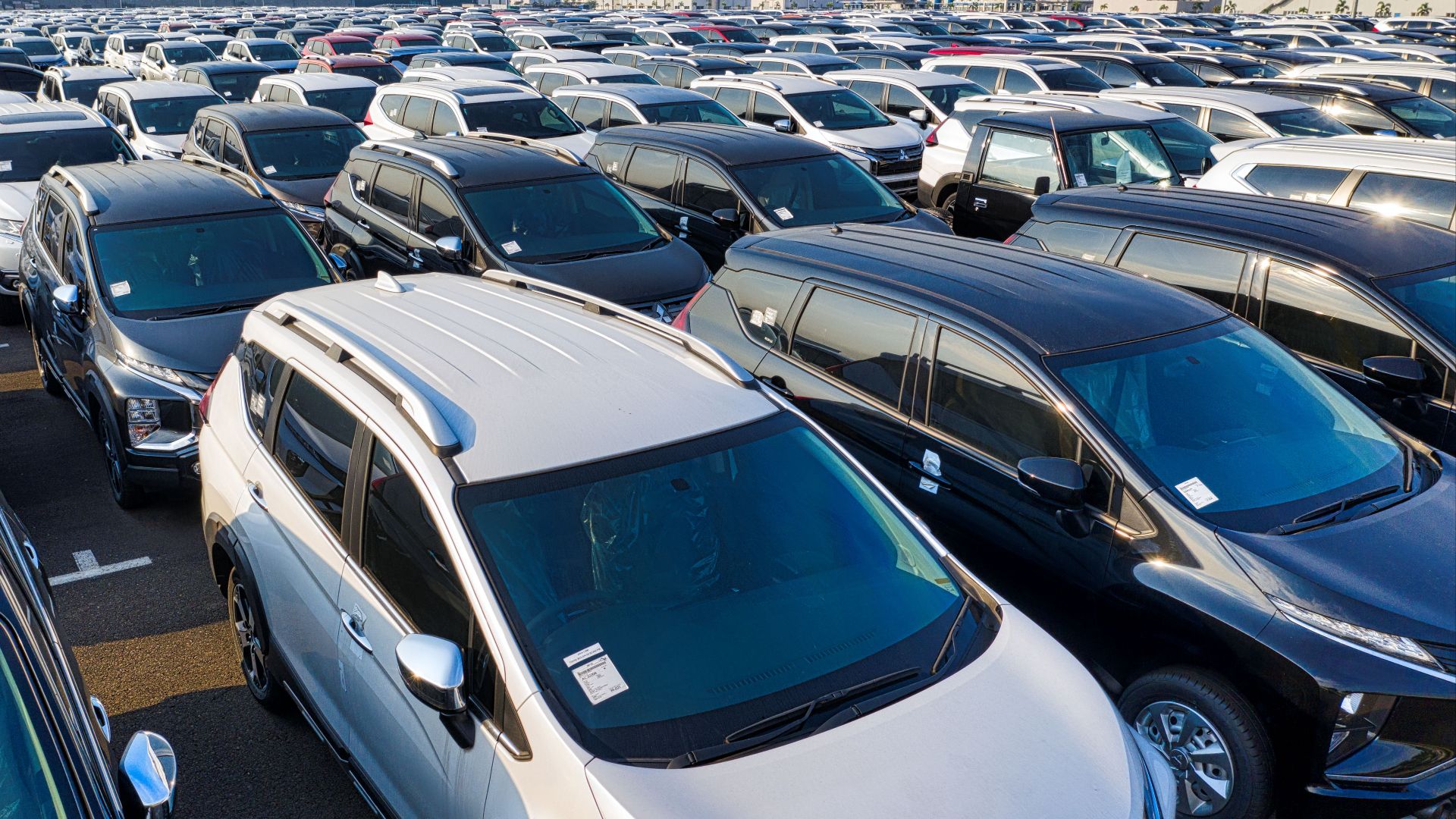 Modern sparkling clean new automobiles on asphalt parking near factory of manufacture in daytime
