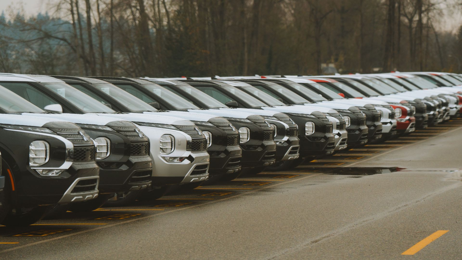 A row of new cars parked outdoors, showcasing modern vehicle design.