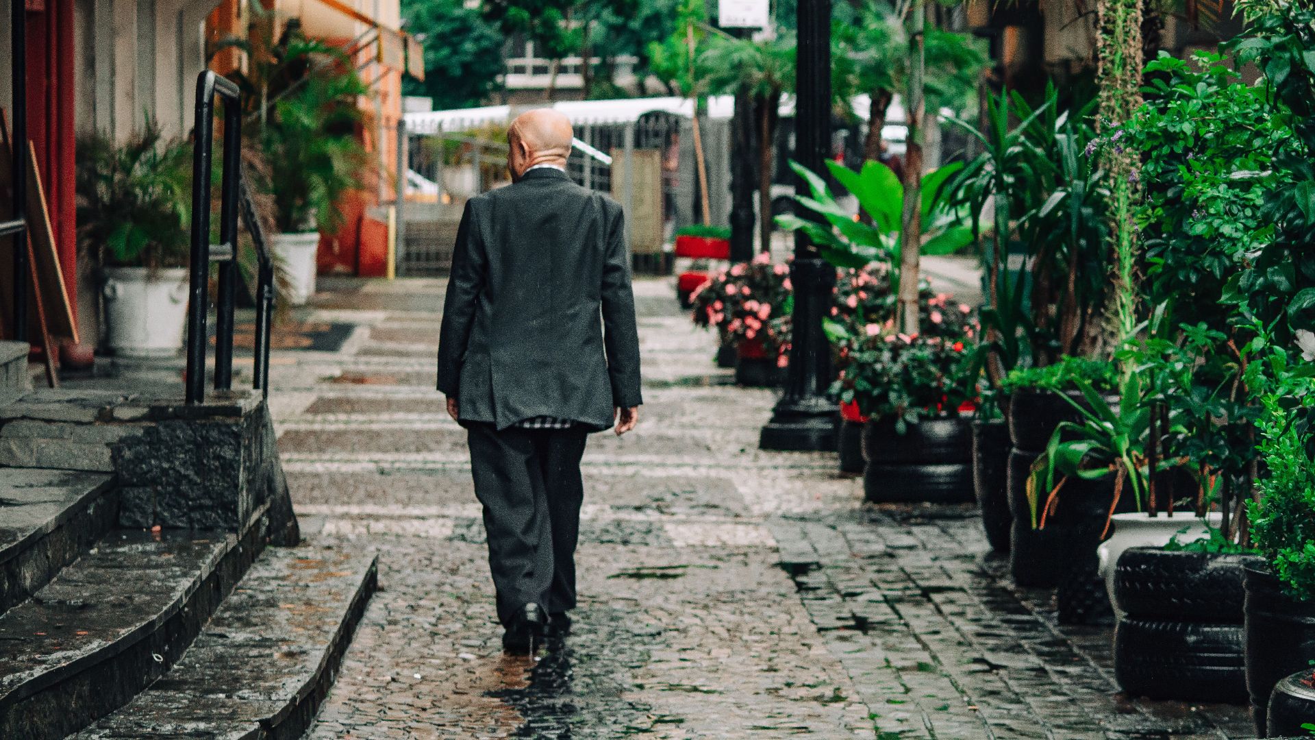 An adult bald man in a suit walking on a wet brick pavement surrounded by urban greenery.